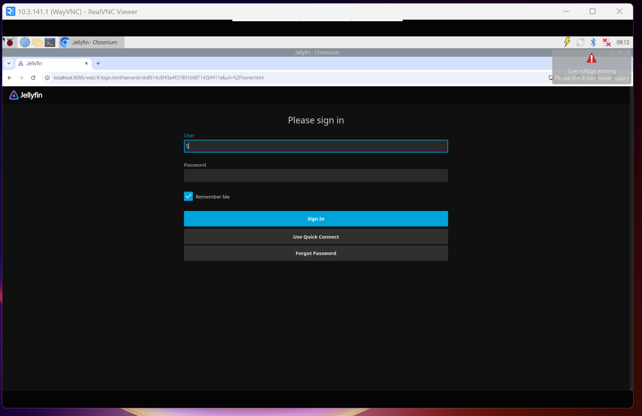 Jellyfin web setup
